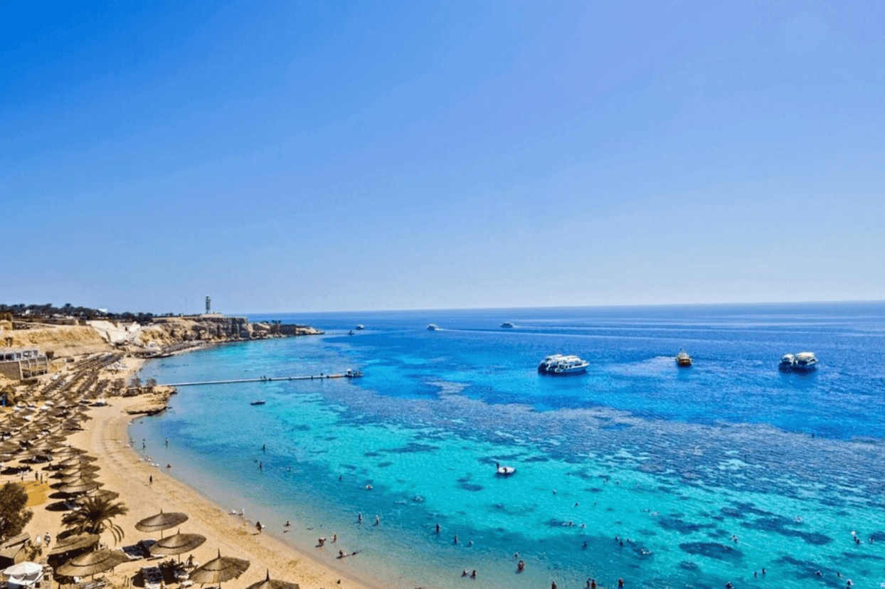 14 nights all inclusive Egypt! ๐๏ธ ๐