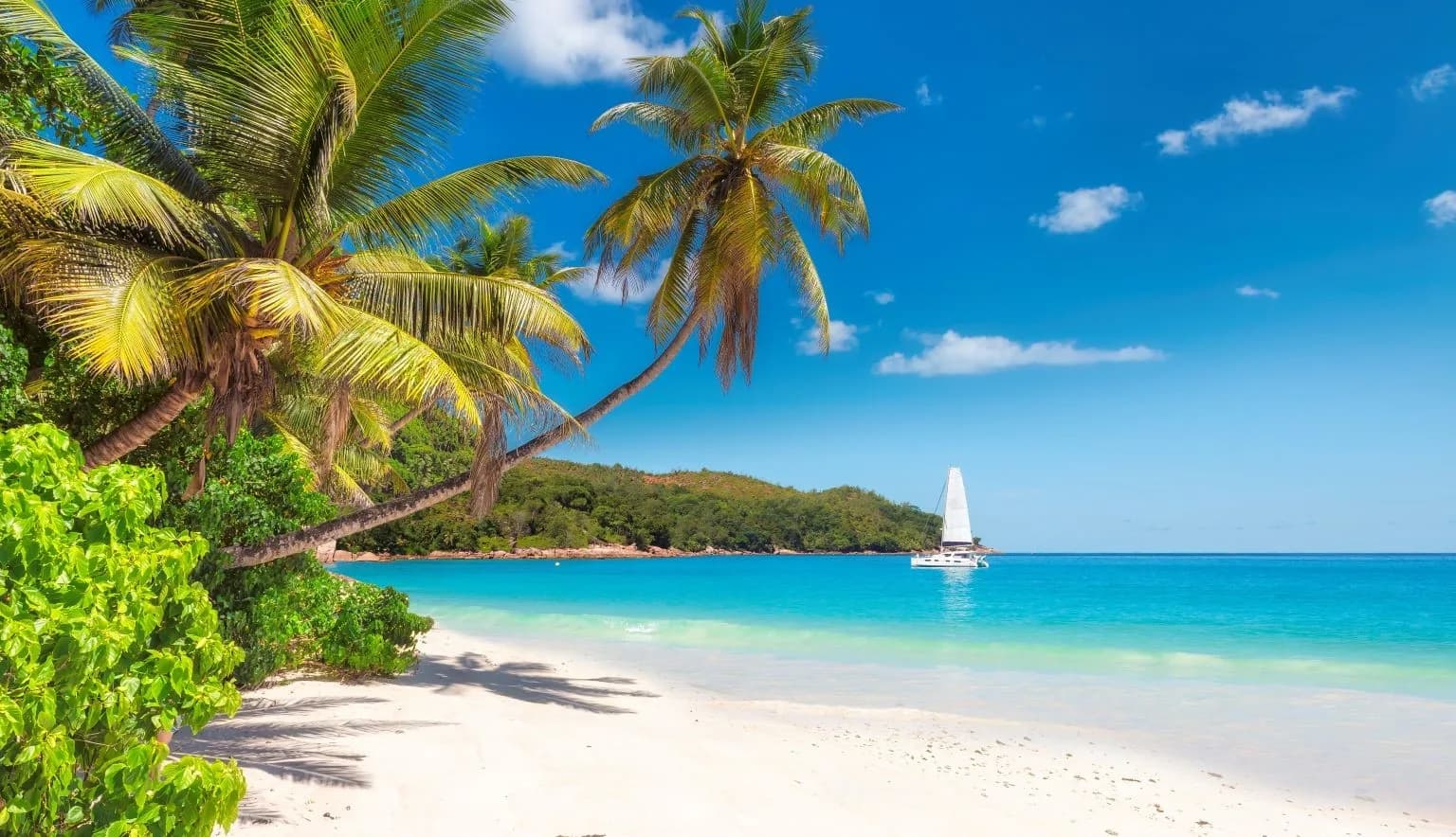 £99 Holiday! Flights + Hotel 🔥 Maldives, Thailand, Jamaica, Japan and lots more!