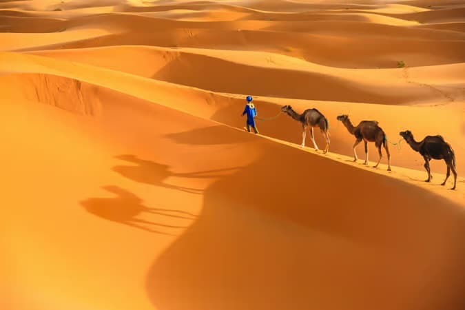 Enchanting Marrakech & Sahara Desert escape ๐๏ธ
